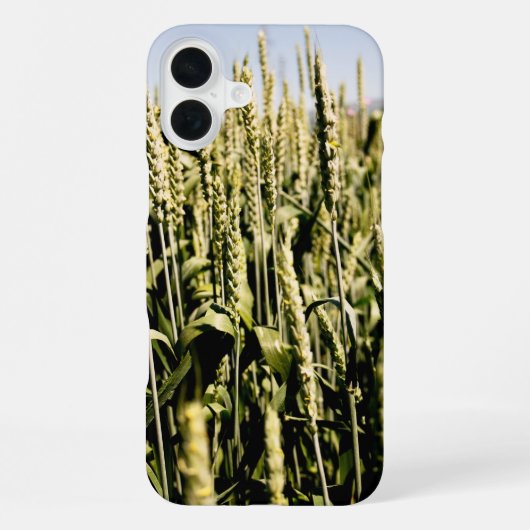 小麦 iPhoneケース (裏面)