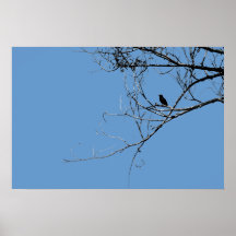 小黒鳥ポスター