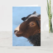 小 カード (正面)