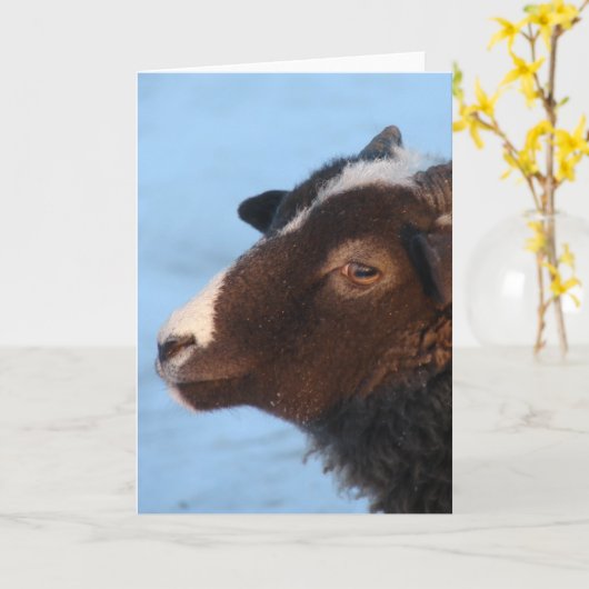 小 カード (黄色い花)