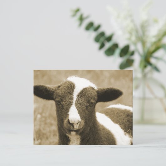 小 ポストカード (スタンド正面)