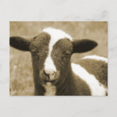 小 ポストカード (正面)