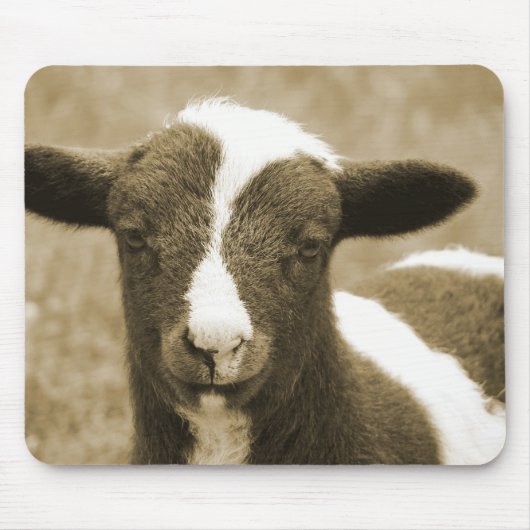 小 マウスパッド (正面)