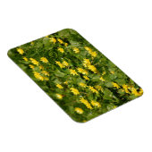 小 – 黄色 – 花 – in-grass1957自然花Y マグネット (右側)