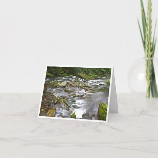 小、4インチx 5.6インチ折り畳みノートカード ノートカード (正面)