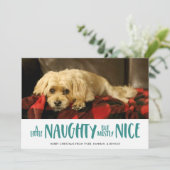 少いけなし |アクア |写真 シーズンカード (スタンド正面)