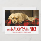 少いけなし |赤 |写真 シーズンカード (正面)