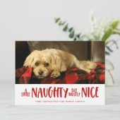 少いけなし |赤 |写真 シーズンカード (スタンド正面)