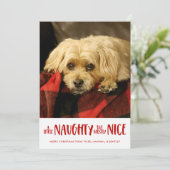 少いけなし |赤 |垂直方向の写真 シーズンカード (スタンド正面)