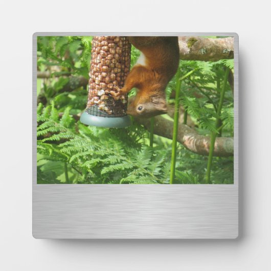 少しおかしい、シカのプレート フォトプラーク (正面)