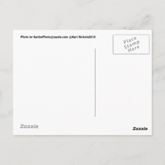 少しおもしろい?ボストンテリアポストカード ポストカード (裏面)