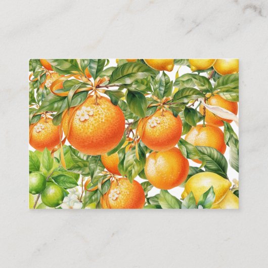 少しかわいこちゃんはオレンジの数を推測する エンクロージャーカード (裏面)