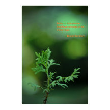 少しの計画もない