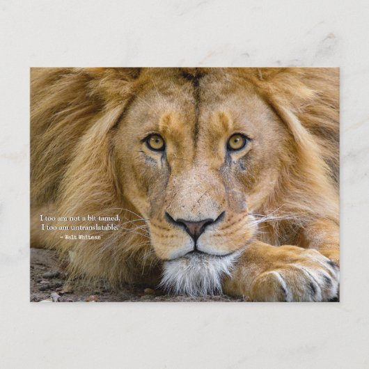 少しも驯されていない - モチベーションを高める名言 + あなたの写真 ポストカード (正面)