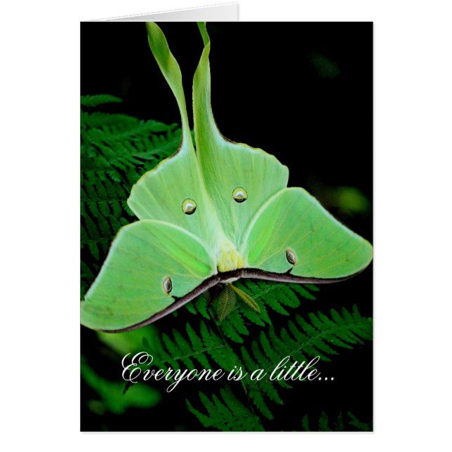 少しアイルランド語 (正面)