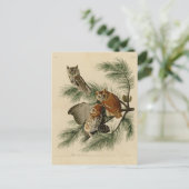 少しアメリカオオコノハズク ポストカード (スタンド正面)