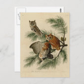 少しアメリカオオコノハズク ポストカード (正面/裏面)