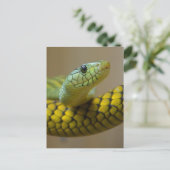 少しカタツムリ ポストカード (スタンド正面)