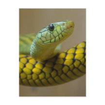 少しカタツムリ