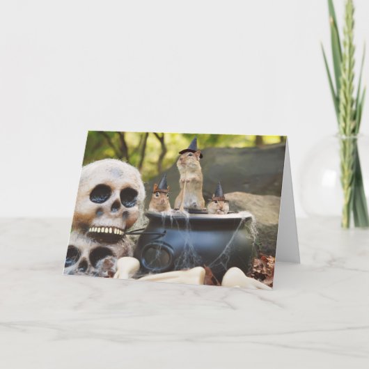 少しシマリスの魔法使いの挨拶状 カード (正面)