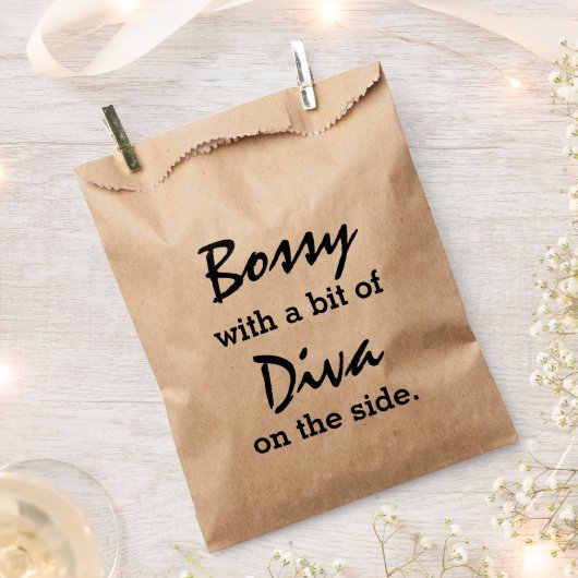 少しディヴァの音が立ち上がる フェイバーバッグ (クリップ留めされた状態)