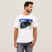 少しバニー2 Tシャツ (正面フル)