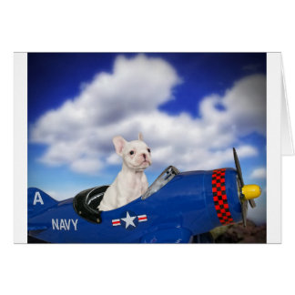 少しパイロット