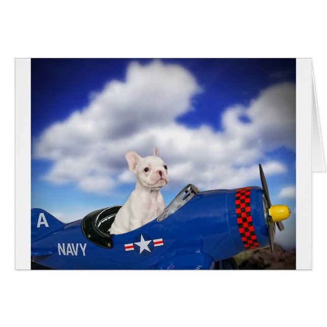 少しパイロット (正面横)