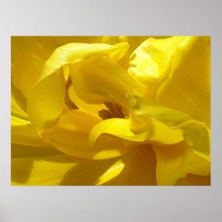 少しピッと見る ポスター