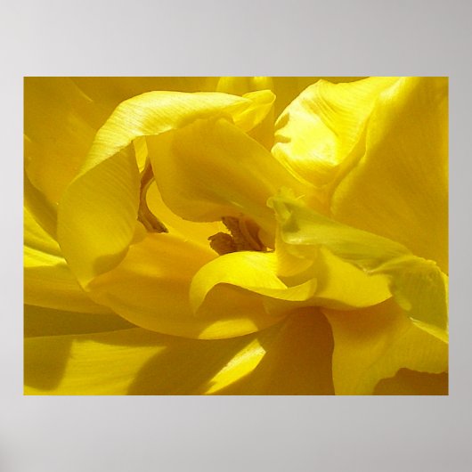 少しピッと見る ポスター (正面)