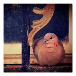 少しフラフ ポスター