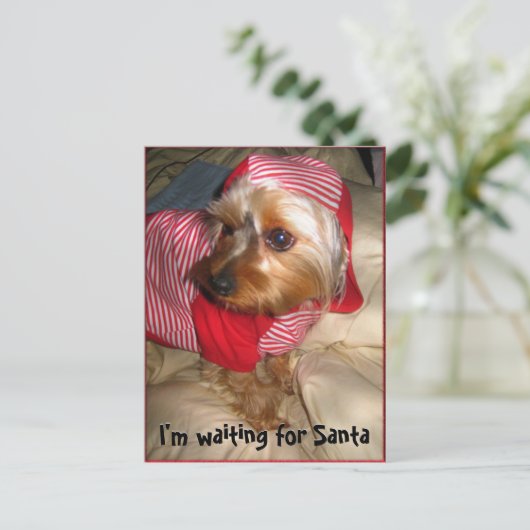 少しヨークシャーテリアクリスマスイブの眠ることができません シーズンポストカード (スタンド正面)