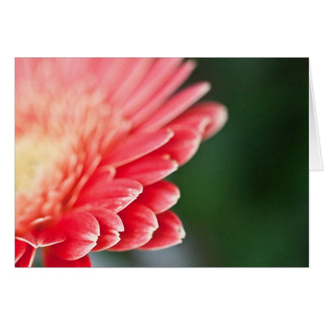 少し内気の (正面横)