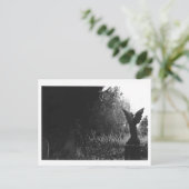 少し天使の彫像の古い墓地の郵便はがき ポストカード (スタンド正面)