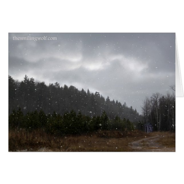 少し山の掘っ建て小屋 (正面横)