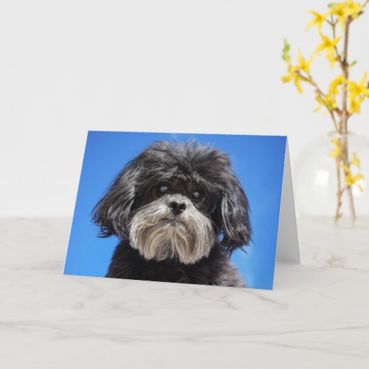 少し愛 カード (黄色い花)