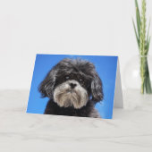 少し愛 カード (正面)