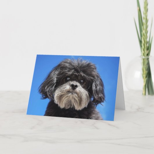 少し愛 カード (正面)