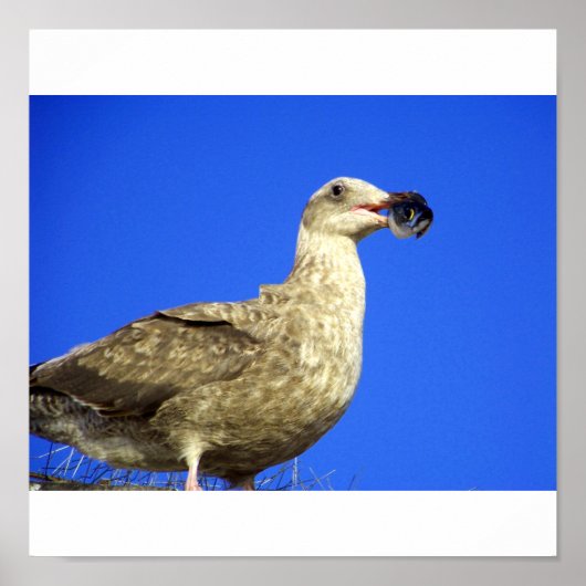 少し持っている ポスター (正面)