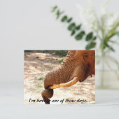 少し捻ったはがき ポストカード (スタンド正面)