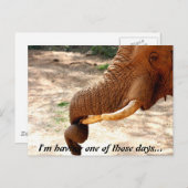 少し捻ったはがき ポストカード (正面/裏面)