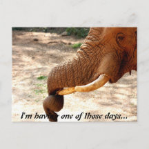 少し捻ったはがき