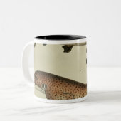 少し斑点を付けられたDogfish ツートーンマグカップ (正面左)