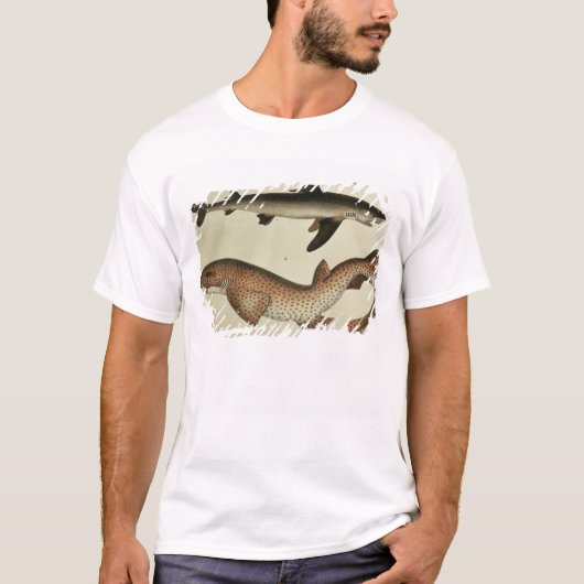 少し斑点を付けられたDogfish Tシャツ (正面)