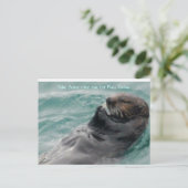 少し時間を取遊れ。 ポストカード (スタンド正面)