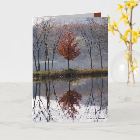 少し服を着る赤 カード (黄色い花)