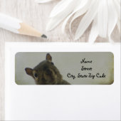 少し気味悪い ラベル (インサイチュ)