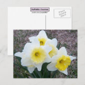 少し水仙の… ポストカード (正面/裏面)