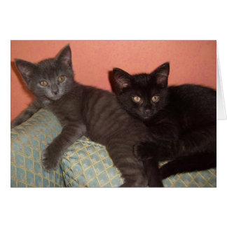 少し灰色および少し黒い