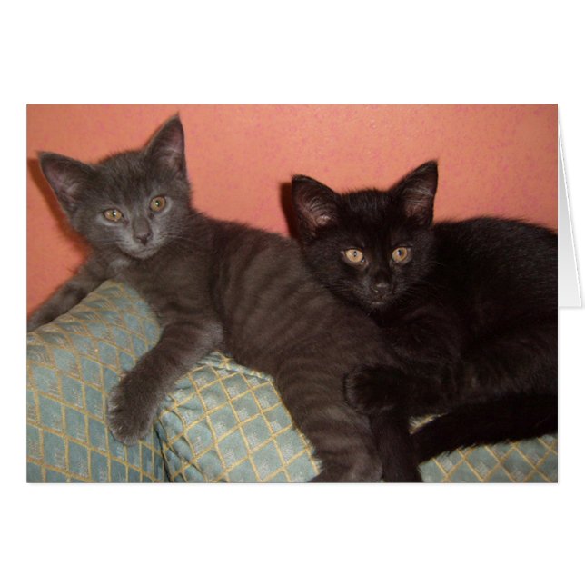 少し灰色および少し黒い (正面横)